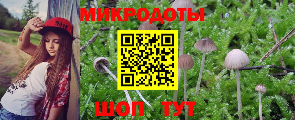 Псилоцибиновые грибы Psilocybe  Псилоцибиновые грибы Psilocybe  Вход с VPN  Симферополь 