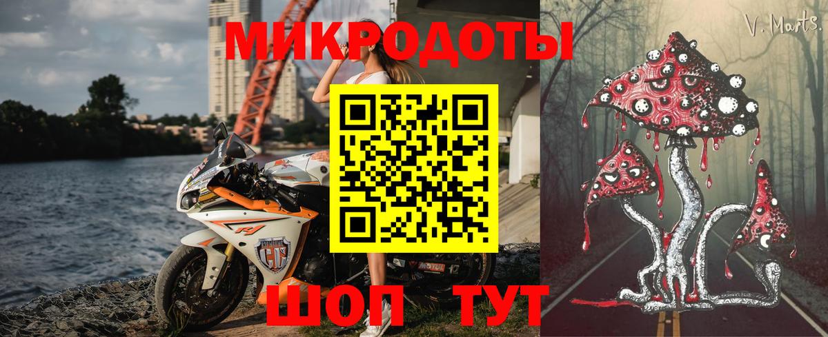 Псилоцибиновые грибы Psilocybine cubensis Симферополь